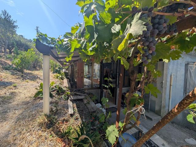 Casa in vendita a San Basilio, Novara di Sicilia