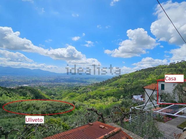 Casa in vendita a Capannori, Toscana