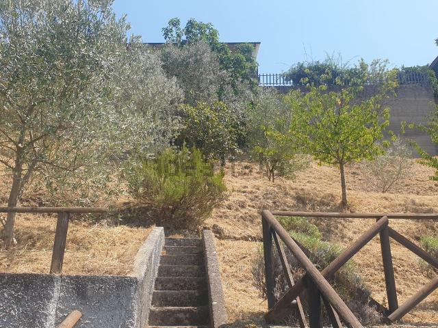 Casa in vendita a Montecchio, Umbria