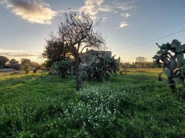 Casa in vendita a Puglia, Lecce