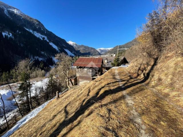 Casa in vendita a Mas, Vallada Agordina