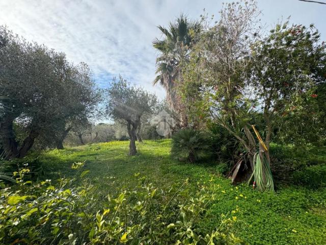 Casa in vendita a Cala Di Volpe, Sardigna/Sardegna