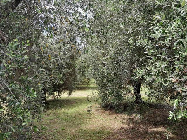 Casa in vendita a Mezzopiano II, San Miniato