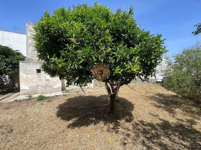 Casa in vendita a Puglia, Lecce