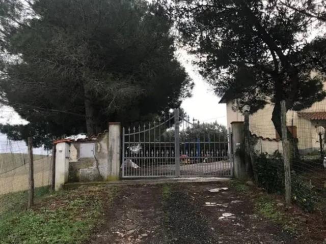 Casa in vendita a Castellina Marittima, Toscana