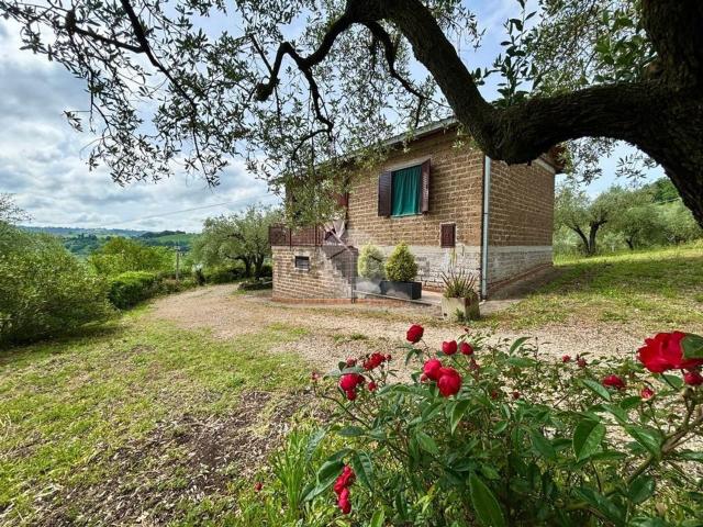 Casa in vendita a Otricoli, Umbria