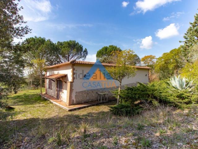 Casa in vendita a Montecchio, Umbria
