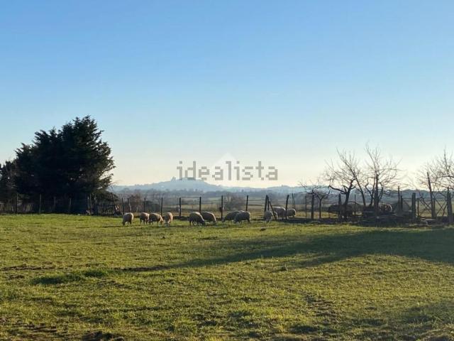 Casa in vendita a Ficulle, Umbria