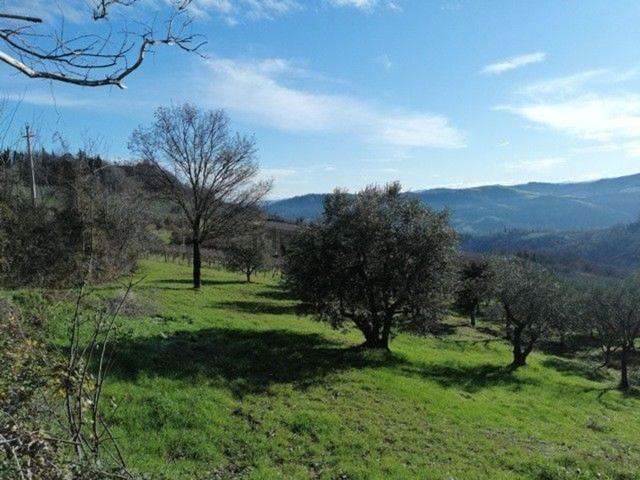 Casa in vendita a Unione di Comuni della Romagna Forlivese, Castrocaro Terme