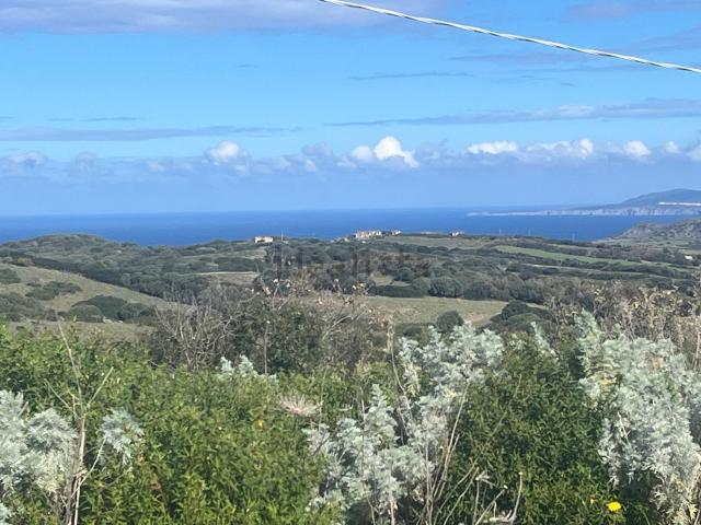 Casa in vendita a Cala Di Volpe, Sardigna/Sardegna