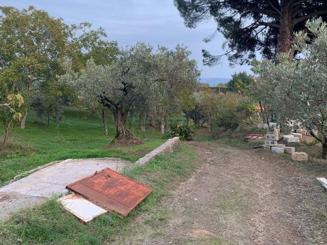 Casa in vendita a Sant'Elia, Calabria