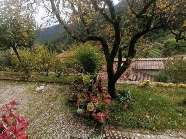 Casa in vendita a Capannori, Toscana