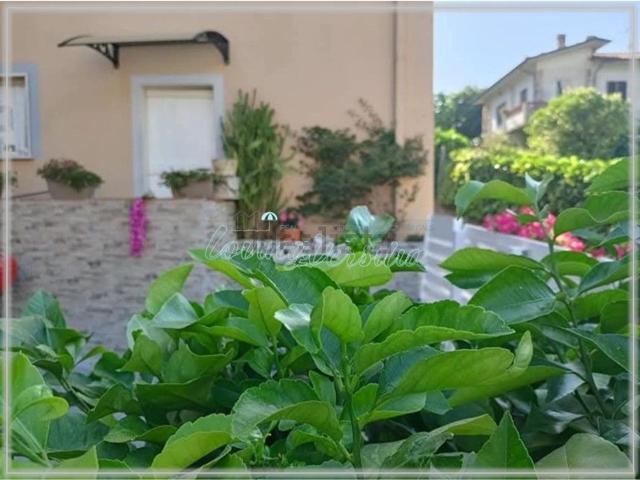 Casa in vendita a Marignana, Camaiore
