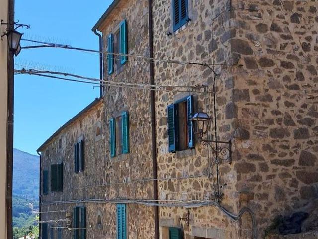 Casa in vendita a Unione dei Comuni Montani Amiata Grossetana, Arcidosso