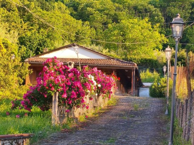 Casa in vendita a Teggiano, Campania