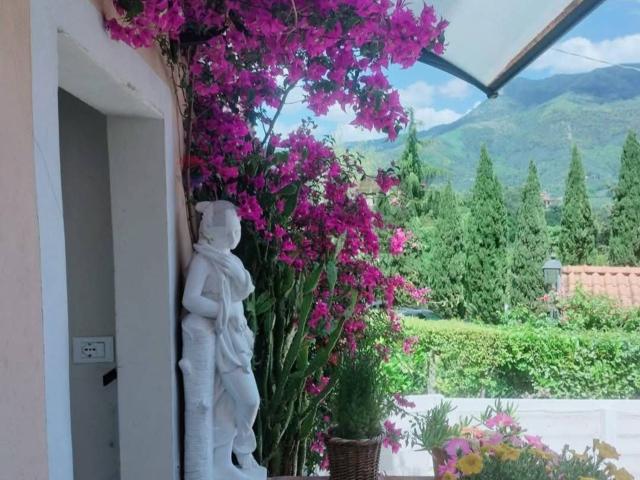 Casa in vendita a Marignana, Camaiore