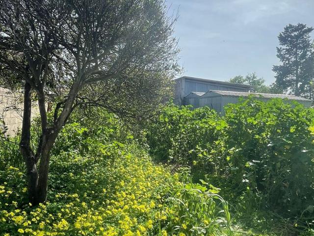 Casa in vendita a Cabras, Sardigna/Sardegna