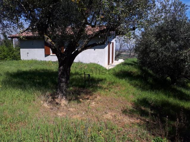 Casa in vendita a Molinaccio, Marche