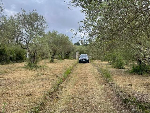 Casa in vendita a San Giovanni, Cala Di Volpe