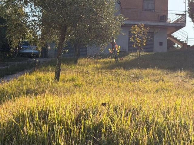 Casa in vendita a Santa Vittoria in Matenano, Fermo