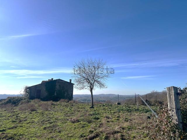 Casa in vendita a Roma Capitale, Lazio