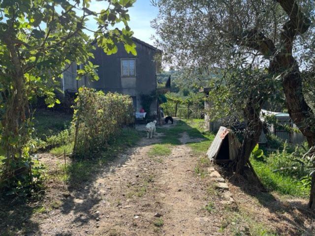 Casa in vendita a Prignano Cilento, Campania