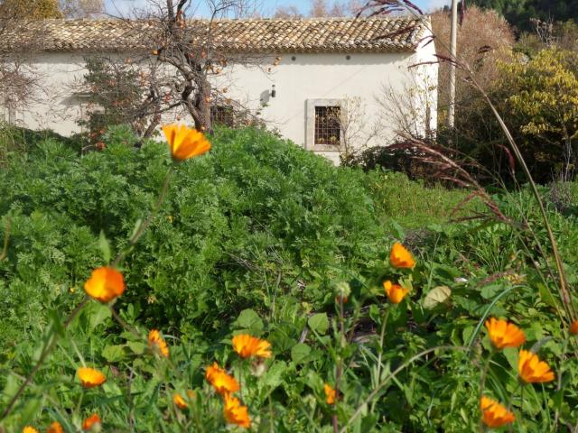 Casa in vendita a Ragusa Ibla, Ragusa