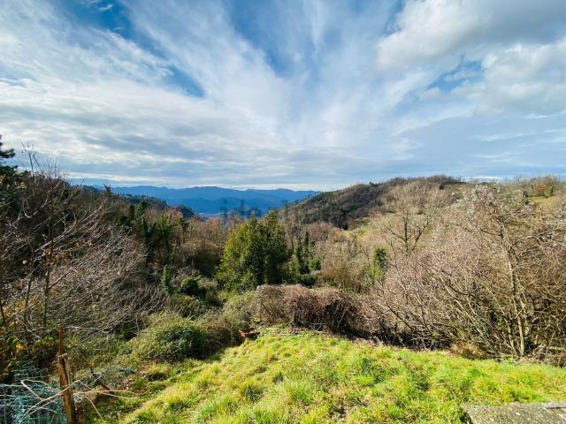 Casa in vendita a Pieve Di Zignago, Liguria