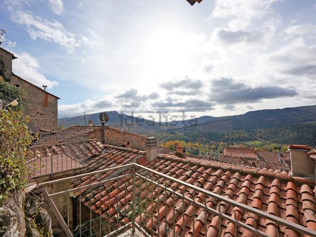 Casa in vendita a Unione dei Comuni Montani Amiata Grossetana, Santa Fiora