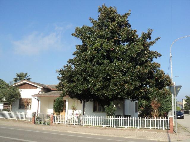 Casa in vendita a San Giovanni, Ostellato