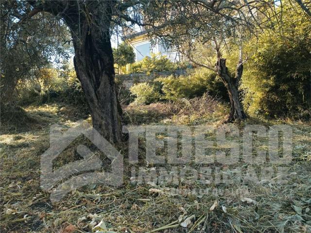 Casa in vendita a Sant'angelo A Cupolo, Campania