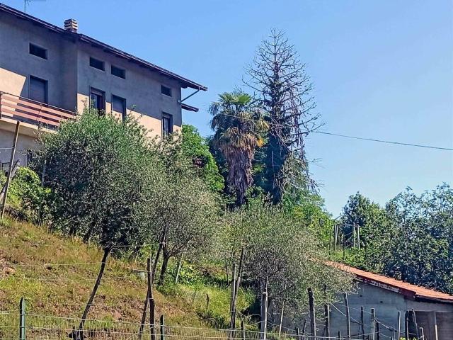 Casa in vendita a Piemonte, Biella