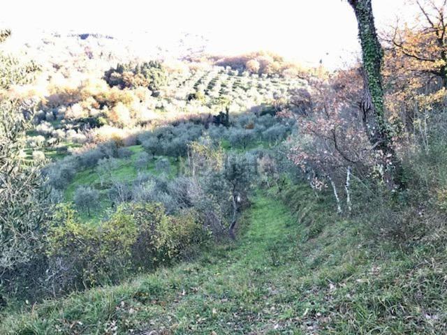Casa in vendita a Monsummano Alto, Monsummano Terme
