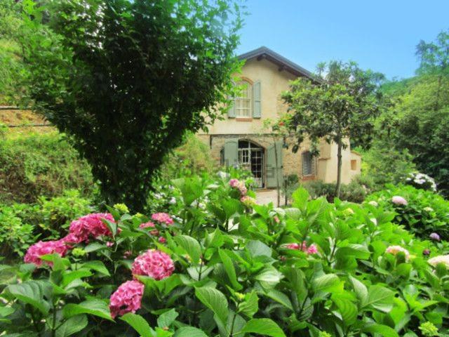 Casa in vendita a Pedona, Camaiore