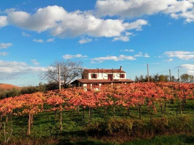 Casa in vendita a Loreto Aprutino, Abruzzo