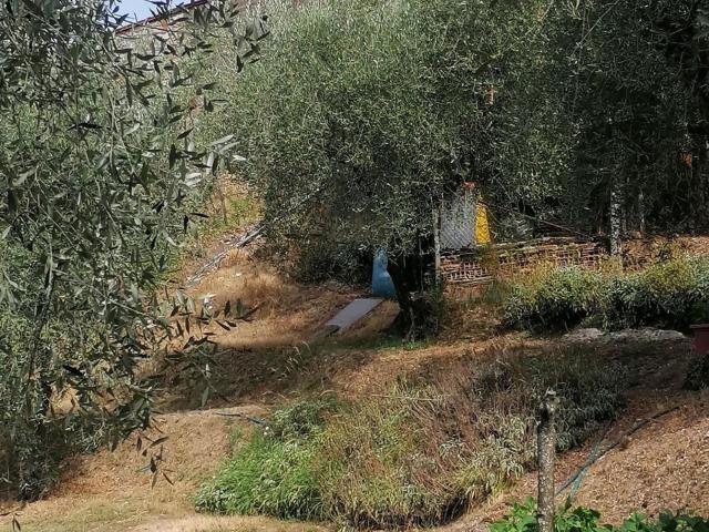 Casa in vendita a Bagni Di Lucca Ponte, Toscana