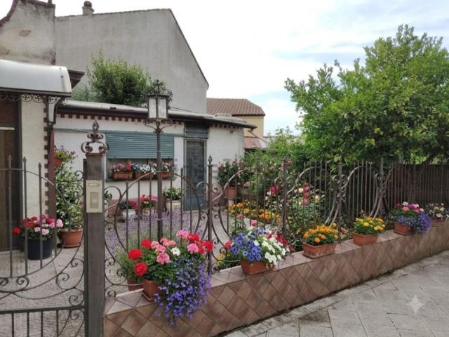 Casa in vendita a Cerreto, Lapio