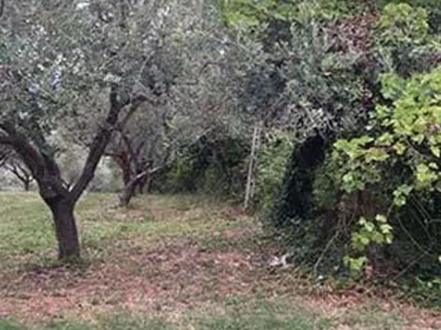 Casa in vendita a Contrada Sacconi - La Collina, Maltignano