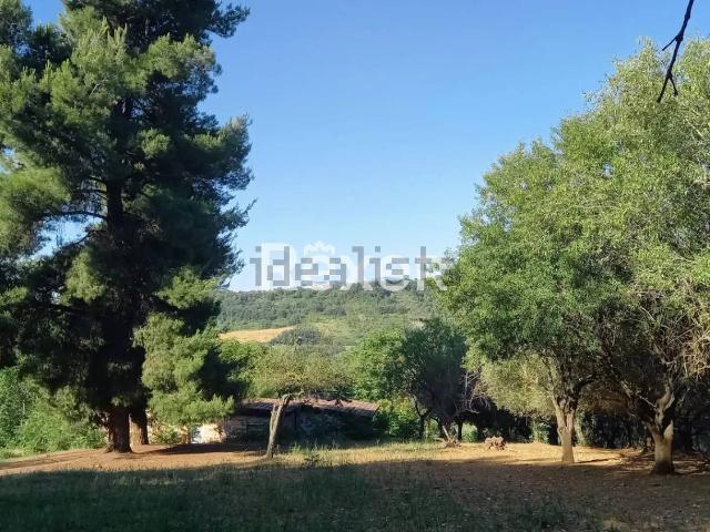 Casa in vendita a Città Sant'angelo, Abruzzo