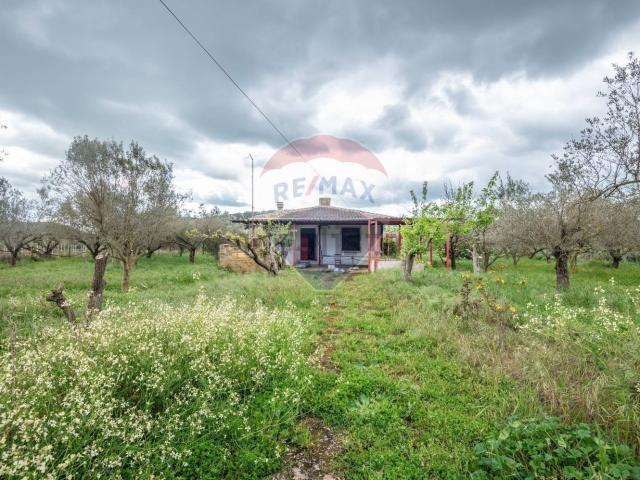 Casa in vendita a San Michele Di Ganzaria, Sicilia