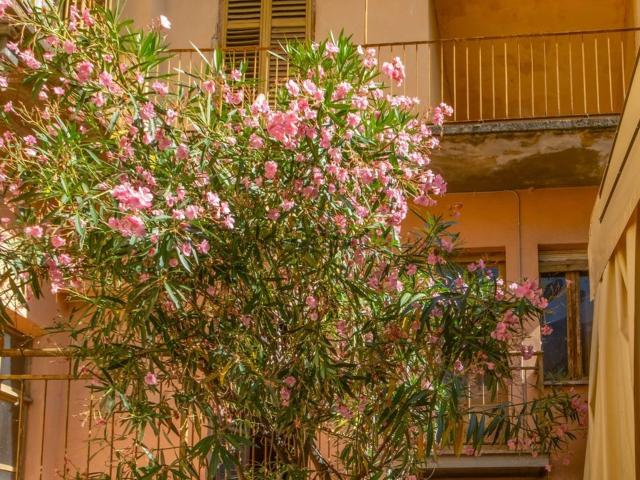 Casa in vendita a Piemonte, Cuneo