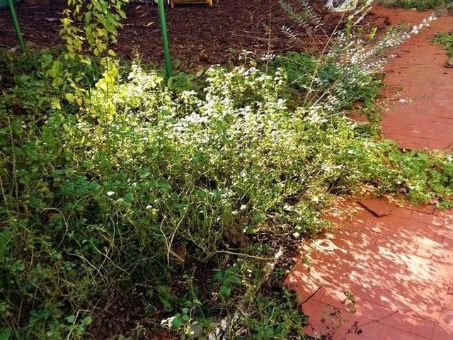 Casa in vendita a Poggetto, Poggio A Caiano