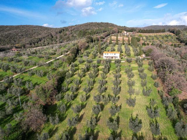 Casa in vendita a Bolgheri, Toscana