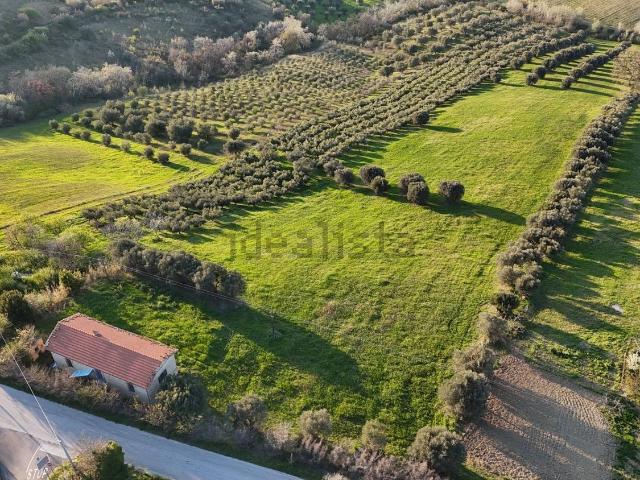 Casa in vendita a Morro D'oro, Abruzzo