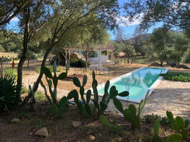 Casa in vendita a San Pantaleo