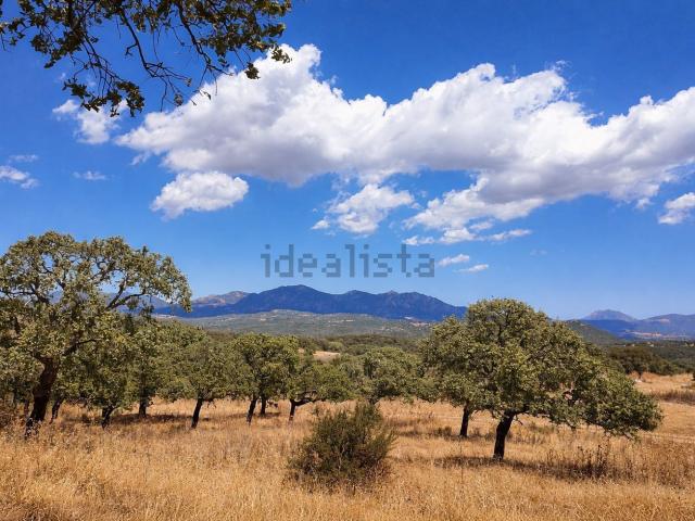 Casa in vendita a Telti, Sardigna/Sardegna