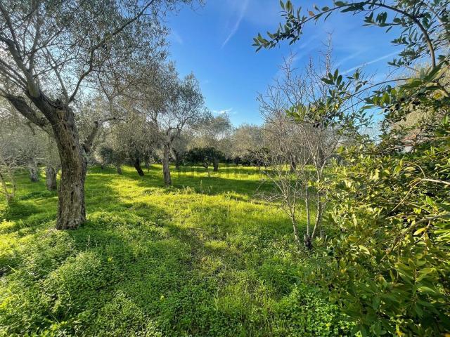 Casa in vendita a Latte Dolce, Cala Di Volpe