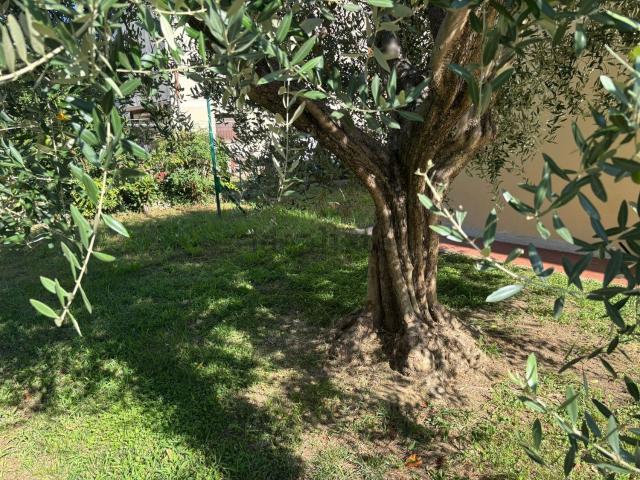 Casa in vendita a Gello, San Giuliano Terme