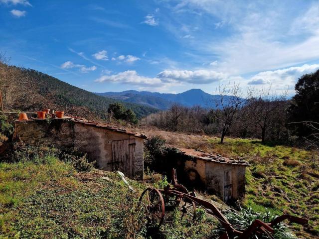 Casa in vendita a Pieve Di Zignago, Liguria