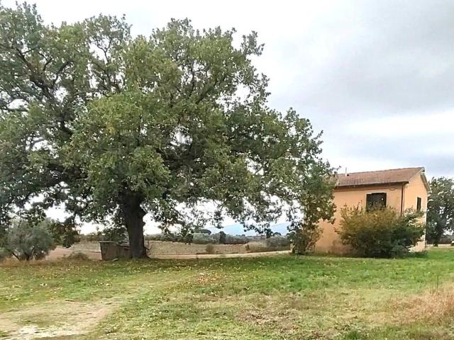 Casa in vendita a Unione di Comuni Montani Colline del Fiora, Pitigliano